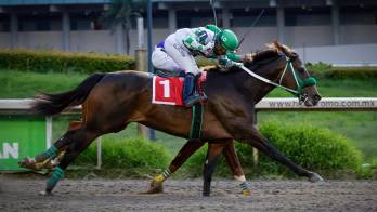 ‘Lodyto Race’, el potro mexicano que ganó en Panamá en el 2025.