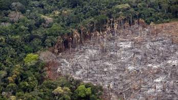 Fotografía de un terreno de selva deforestado, el 22 de febrero de 2020, en el Parque Nacional Natural Tinigua, en el departamento del Meta (Colombia).