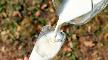 Consumo de lácteos previenen las enfermedades cardiovasculares