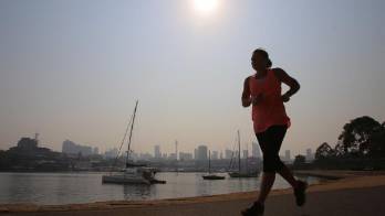 Científicos revelan que el corazón se esponja con el ejercicio vigoroso