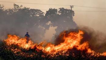 Grecia: se han encontrado 27 cuerpos durante los incendios en zona boscosa ​