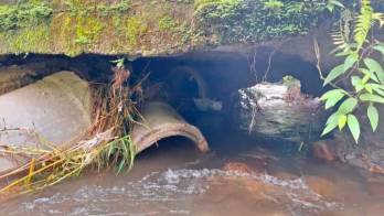El MOP no ha hecho nada.