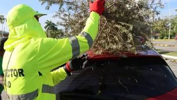 La Alcaldía recordó que las quemas de árboles están prohibidas por el Decreto Alcaldicio N°001-2018, del 11 de enero de 2018