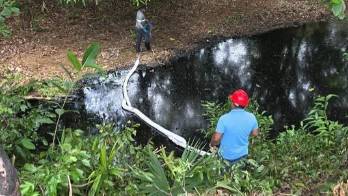 MiAmbiente abrió un proceso administrativo e inició una investigación.