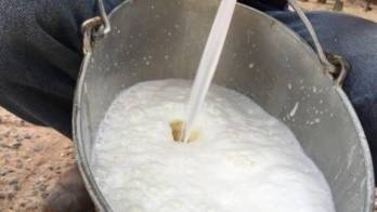 Productores solicitan una reunión con las autoridades.