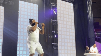 Teletón se disculpa por show de Mr. Fox