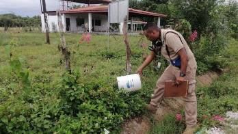 El Minsa exhorta a la población a eliminar los criaderos de mosquitos.