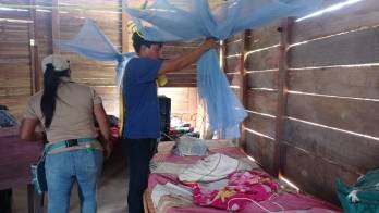 Minsa: casos de malaria presentan una baja en varias zonas del país