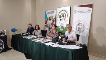 Advirten que los alimentos ultraprocesados representan una amenaza para la salud de la población.