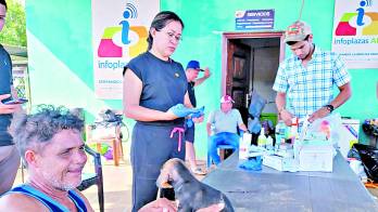 Veterinarios manifestaron que estas labores continuarán llegando a los sectores afectados.