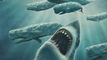 El Megalodón era el tiburón más grande que haya existido y el más terrible depredador de la historia.