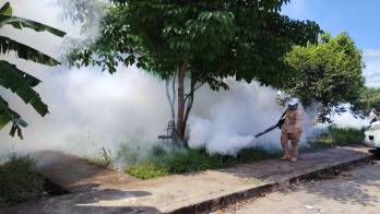 Personal de salud mantiene operativos de vigilancia epidemiológica y control de vectores en distintas regiones del país para reducir la propagación de enfermedades.