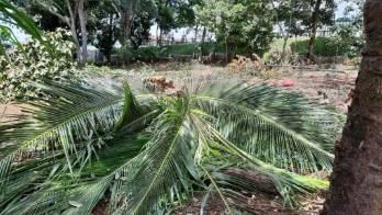 Supuesta dueña de terreno destruye propiedad, Miviot interviene