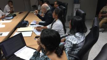 Ambientalistas exigen frenar la tala de árboles&nbsp;