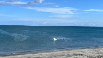 Avioneta cayó al mar en playa Farallón