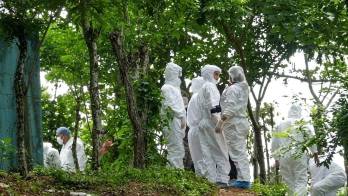 En el mes de octubre se han reportado 24 homicidios a nivel nacional, el más reciente fue en Colón.
