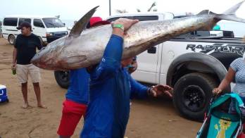 Pescadores de Pedasí ganan el Torneo de Pesca