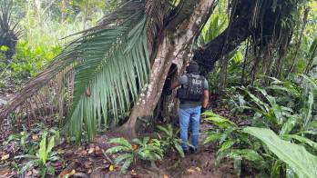 Colón | Armas escondidas en el monte: incautan fusil y pistolas