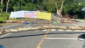 Solo con la decisión de Panamá Chiquita, más de 4,800 trabajadores han quedado sin empleo.