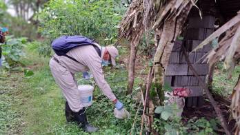 Minsa pide a la población la eliminación de criaderos de mosquitos.