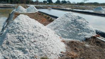 Las lluvias y el frente frío han ocasionado atrasos en la producción