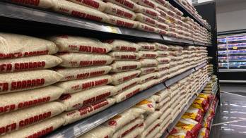 En Panamá, el consumo de arroz es uno de los más altos del mundo, con más de 154 libras por persona al año.