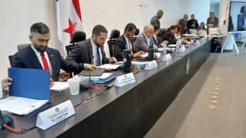 Comisión de Gobierno de la Asamblea Nacional.