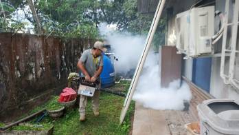 Minsa llama a eliminar criaderos del mosquito Aedes aegypti.