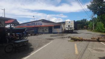 Protestas. Vista del área de Changuinola, aún con trozos de árboles y palmeras.