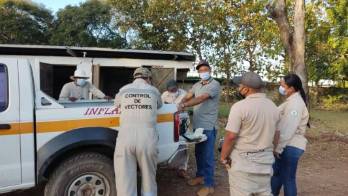 Van seis casos por hantavirus y una defunción&nbsp;