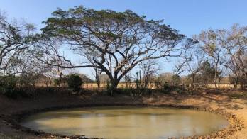 Panamá prepara a productores para época seca de 2022 con pozos y abrevaderos