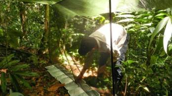 Investigadores en medio de su labor.