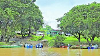 El parque cuenta con su propio sistema de energía.