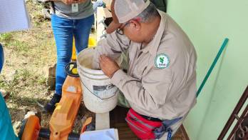 El Minsa ha intensificado sus operativos de control de vectores en todo el país.