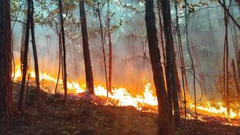 Las autoridades continúan monitoreando la situación.