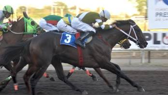 ¿Qué pasará con la actividad hípica panameña?