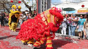 Los asistentes pudieron admirar las danzas de dragón, león y los coloridos vestuarios que representan la diversidad cultural de China.