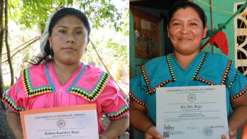 Esperan una oportunidad laboral en el sistema educativo.