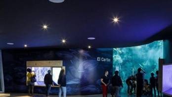 Biomuseo de Frank Gehry inaugura galerías sobre ecosistema marino de Panamá