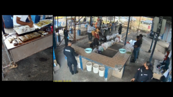 Quería meter a la cárcel de Colón tv preñada en droga, pero canino la echó al agua