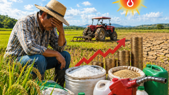 Según el productor Morales, estos pronósticos son clave, ya que con la amenaza del Niño no se puede sembrar en terrenos muy altos o secos.