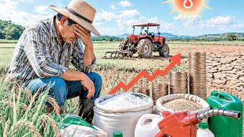 Según el productor Morales, con la amenaza del Niño no se puede sembrar en terrenos muy altos o secos.