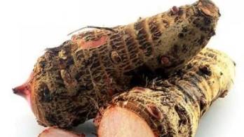 El otoe cuida tu corazón&nbsp;