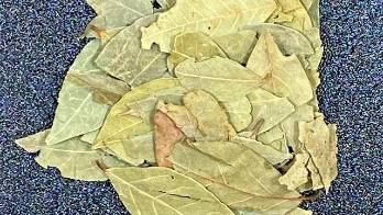 Baño de laurel y canela (atrae prosperidad y claridad mental)