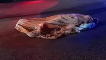 A nivel nacional se contabilizan 262 víctimas fatales en 306 días transcurridos en el 2025.