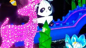 Invitan al Festival de Linternas Chinas y a participar para ganar premios especiales