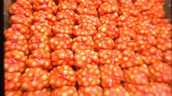 La carga fue llevada a Aduanas en David.