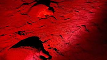 MiAMBIENTE ha reforzado la presencia de guardaparques y la vigilancia en las playas