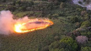 El incendio afectó una amplia extensión de vegetación en el distrito de Tierras Altas, provincia de Chiriquí.