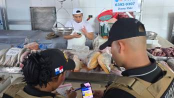 Operativo “Vigilancia Total” detecta extranjeros laborando sin permisos y en condición irregular.